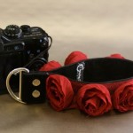 Capturing Couture Red Organza Wristlet