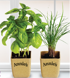 Annie's Herb Kit