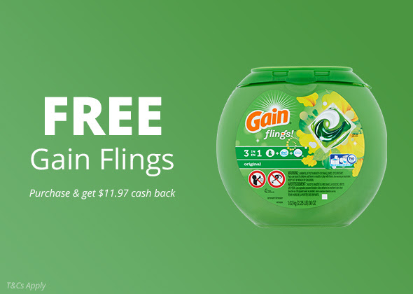 free-gain-flings-detergent-after-topcashback-rebate-deal-seeking-mom
