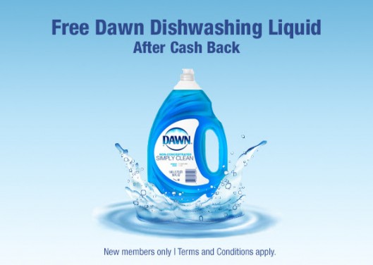 free-dawn-dishwashing-liquid-after-topcashback-rebate-deal-seeking-mom