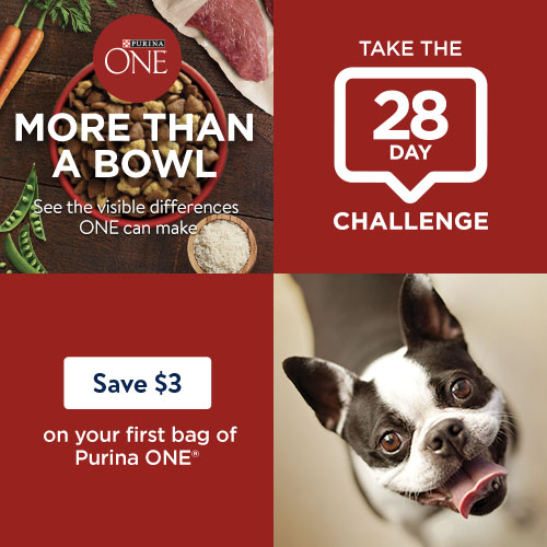 Save Up To 5 on Purina ONE Dog Food at Walmart 28DayChallenge Deal Seeking Mom