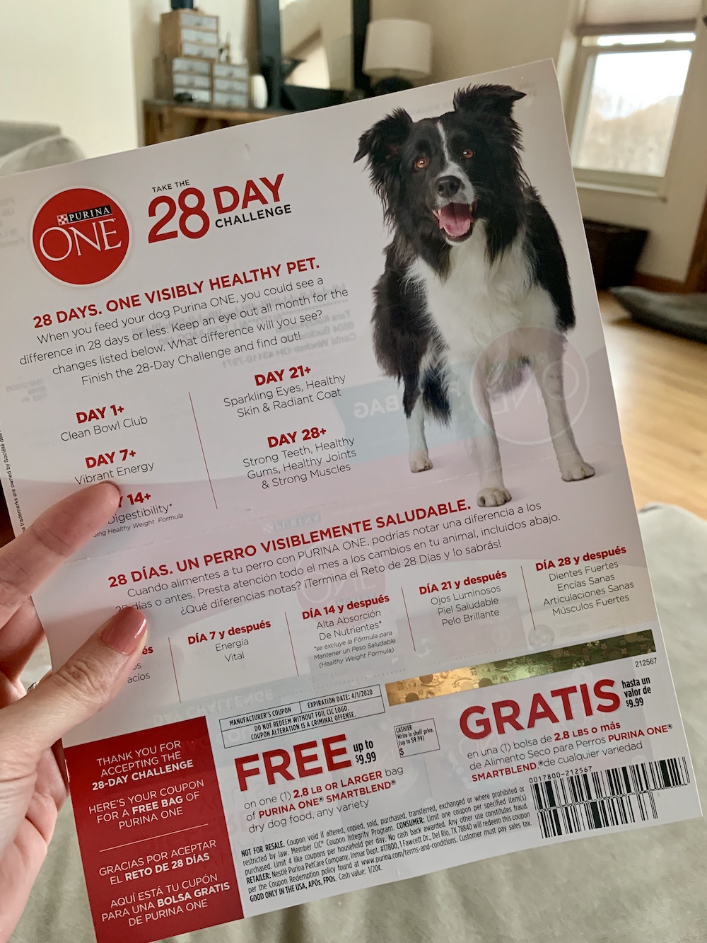 Dry dog 2025 food coupons