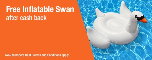 swan float walmart